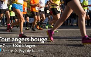 L'Echiquier Angevin présent à TAB
